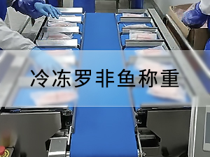 冷冻罗非鱼称重人工入袋